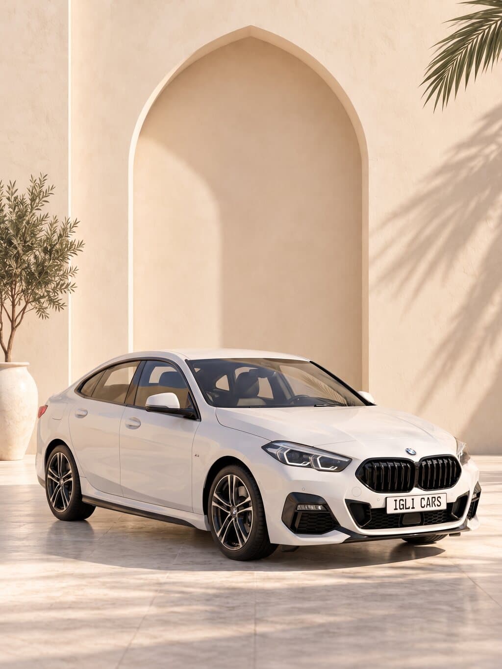 BMW 2 Serie M-Pakket